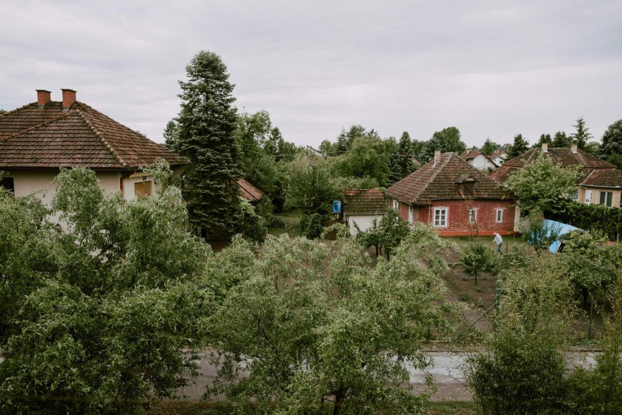 Apartman Buba Palić Eksteriør billede